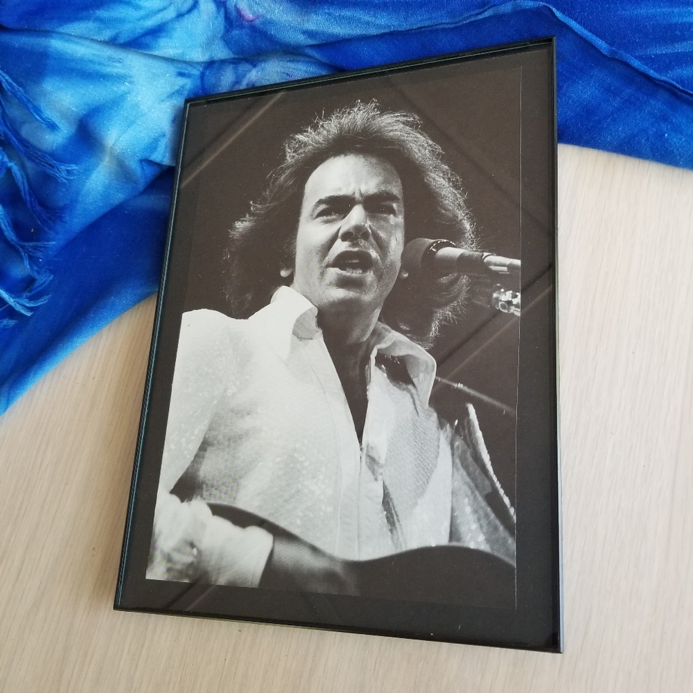 Neil Diamond 1970s Vintage Rock and Roll Guitar Vintage Wall Decor